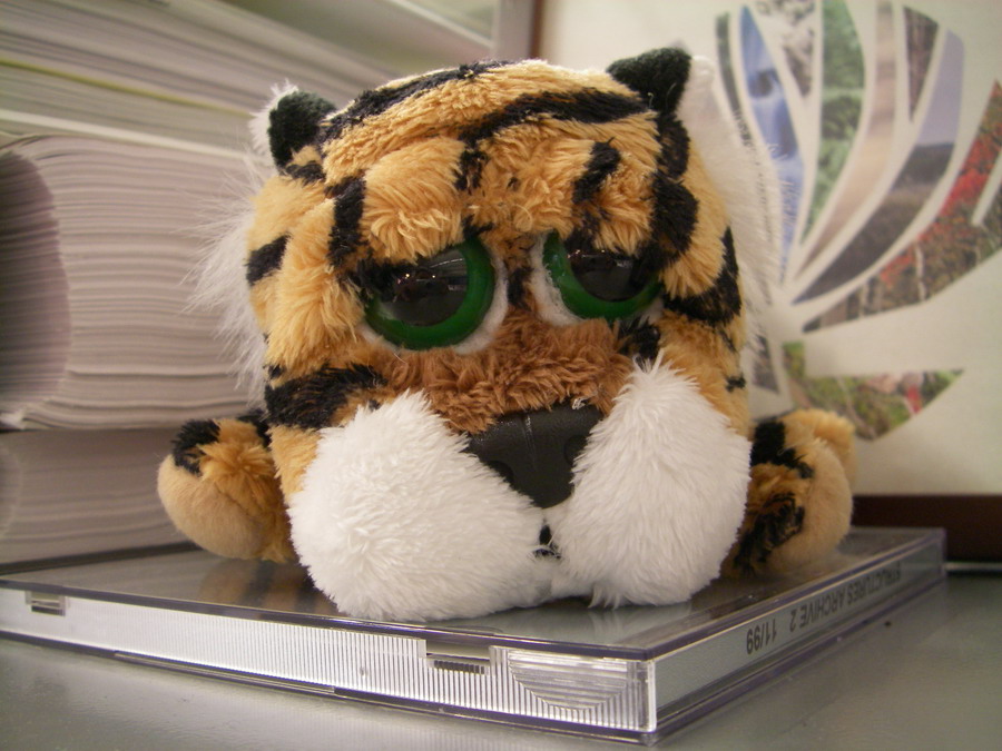 Crystal's Mizzou Tiger