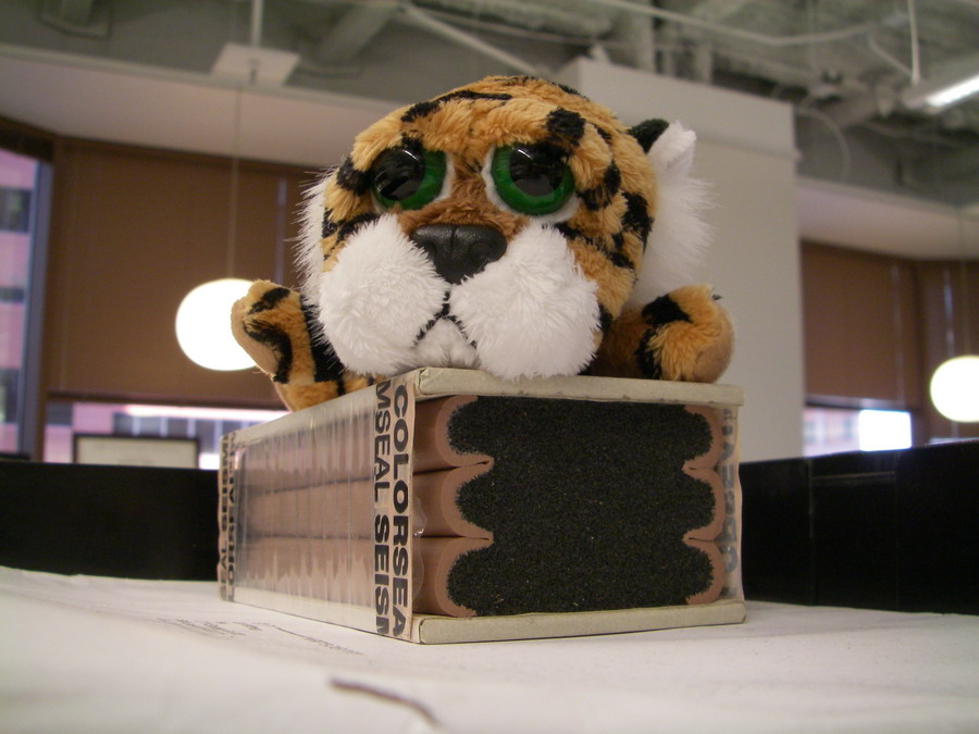 Jim's Mizzou Tiger